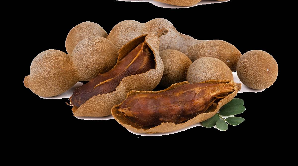 health benefits of tamarind juice, tamarind health benefits, health, indian express news