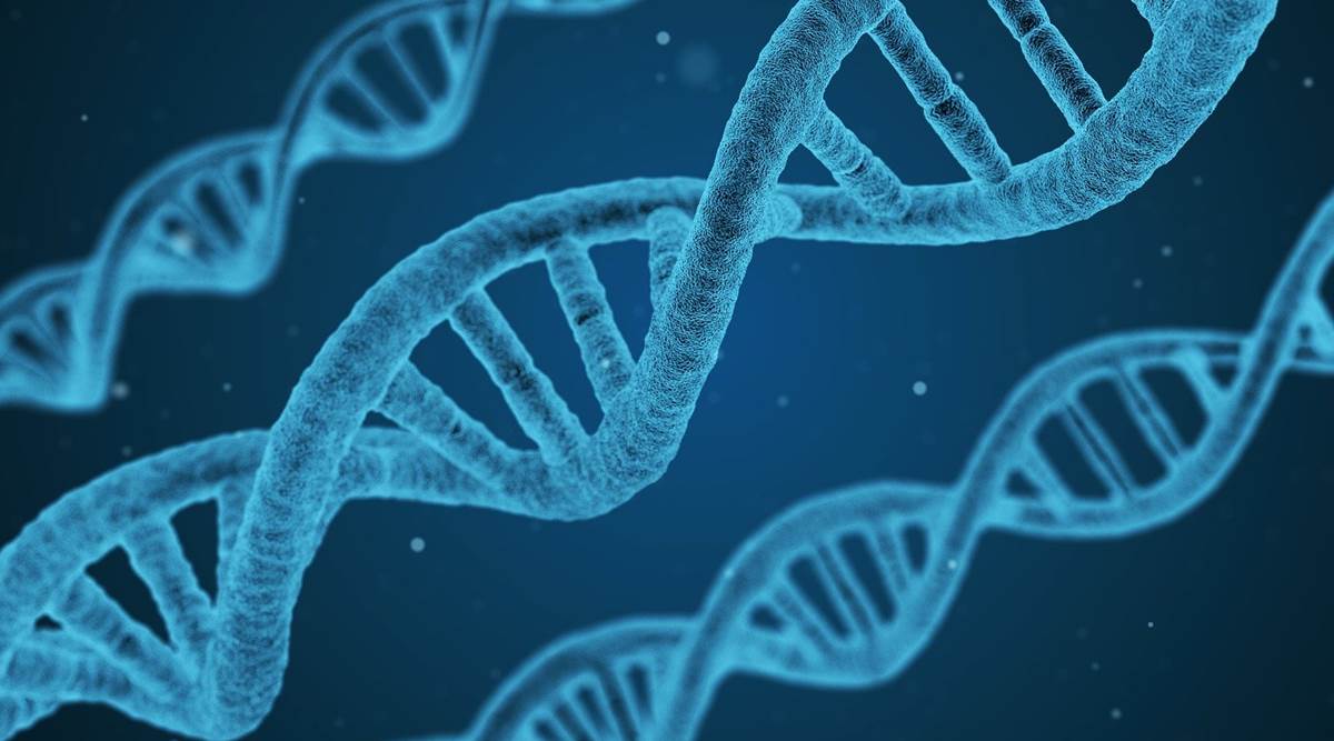 Genome India Project, gene-mapping project, gene-mapping, gene-mapping in India, gene-mapping project in India, India news, Indian Express