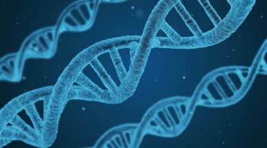 Genome India Project, gene-mapping project, gene-mapping, gene-mapping in India, gene-mapping project in India, India news, Indian Express