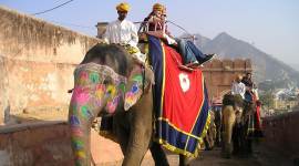 travelling, domestic travel, travelling in India, pandemic, Indian Hotels Company (IHCL) travelling campaign, #TravelForIndia, indian express, indian express news