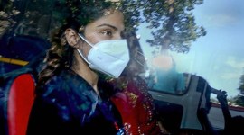 rhea chakraborty bail plea, bombay high court rhea chakraborty, sushant singh rajput death, drugs case bollywood actors