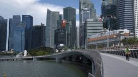 tiktok, tiktok ban, ByteDance Ltd, ByteDance Ltd tiktok, ByteDance Ltd tiktok singapore, donald trump