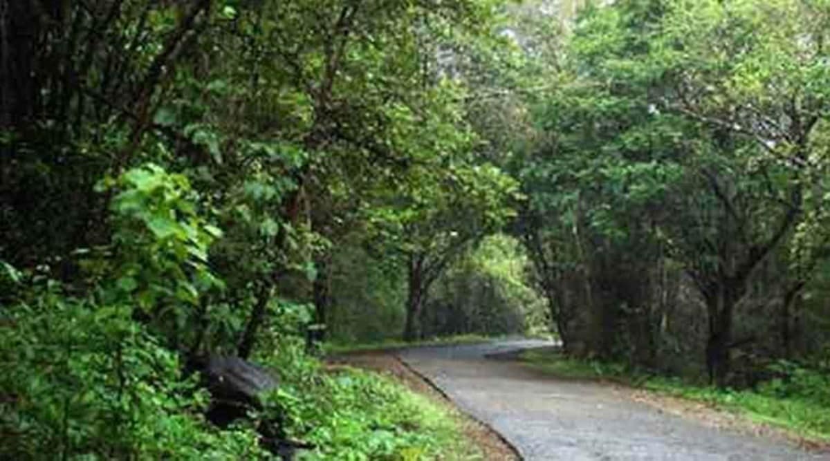 Mumbai covid, mumbai parks, sanjay gandhi national park, sanjay gandhi national park reopen, mumbai news, indian express news