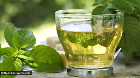 Immunity teas, know your tea, how much tea should one drink, drinking teas, difference between teas, is green tea good for immunity,