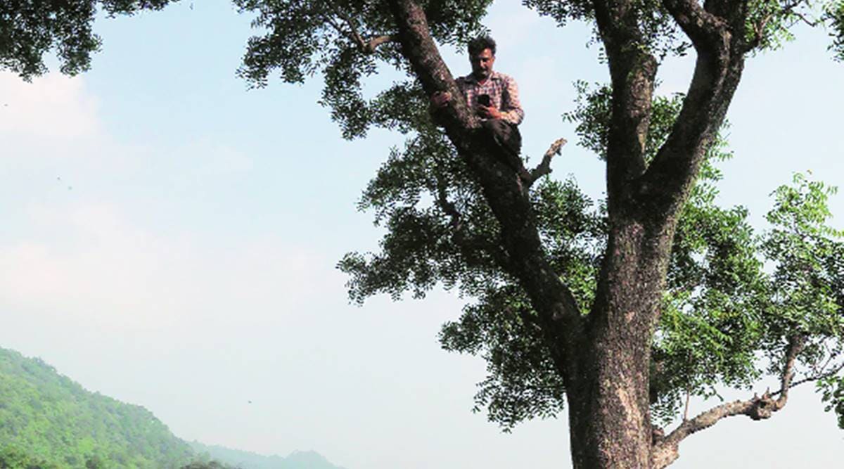 online education, poor internet connection, remote village, Haryana news, Indian express news