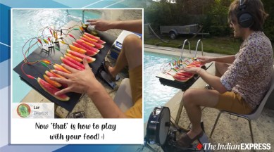 man creates music playing watermelon, man plays melons, man uses melons to create synthesizer, odd news, viral videos, indian express