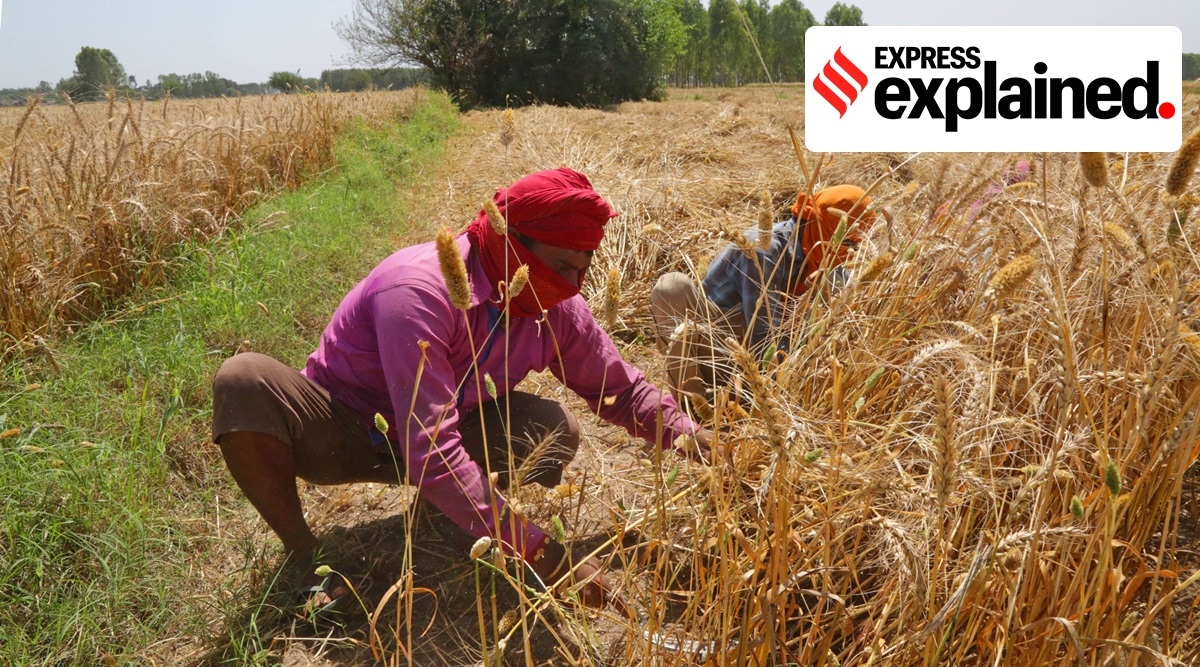 farm bill 2020, farmers bill, minimum support price, MSP for farmers, farmers MSP, farmer protests, Express Explained, Indian Express