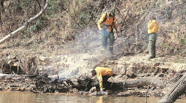 world wildlife fund, endangered species, wwf report on wildlife, fall in wildlife population, mass extinction, indian express