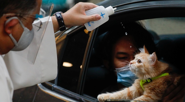 In Philippines A Drive Through Blessing For Pets On World Animal Day Trending News The Indian Express