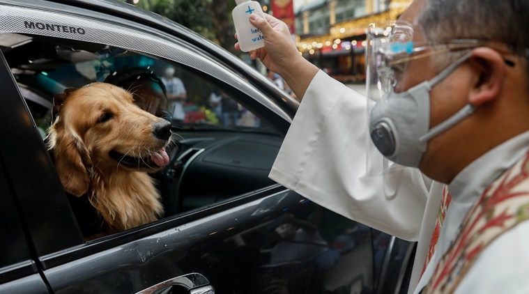 Philippines, COVID-19, Pet blessing, Drive through pet blessings, pet blessing Â Philippines, Philippines coronavirus updates, trending news, Indian Express news