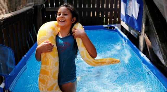 Eight-year-old, pet python, Israeli girl pet python, python, swimming pool, Israel, trending news, Viral video, Indian Express news