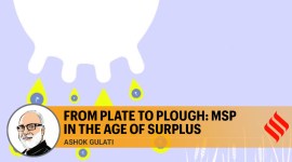 punjab farmers protest, farm bill 2020, farmers bill, minimum support price, MSP for farmers, farmers MSP, farmers protests, Indian Express