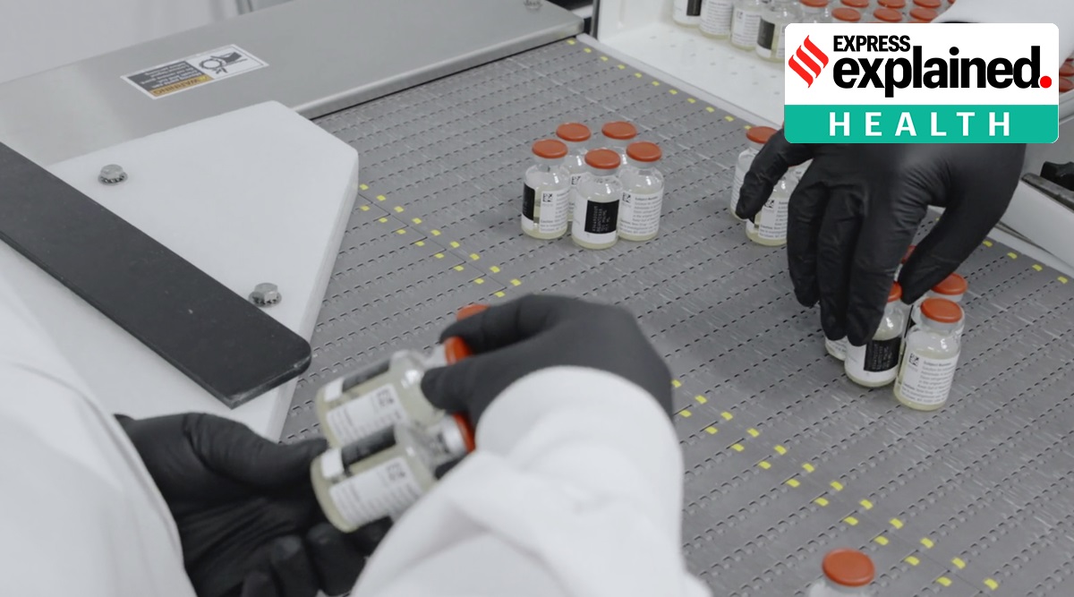 Coronavirus news, coronavirus research, covid antibodies, covid antibodies immunity, coronavirus immunity, indian express