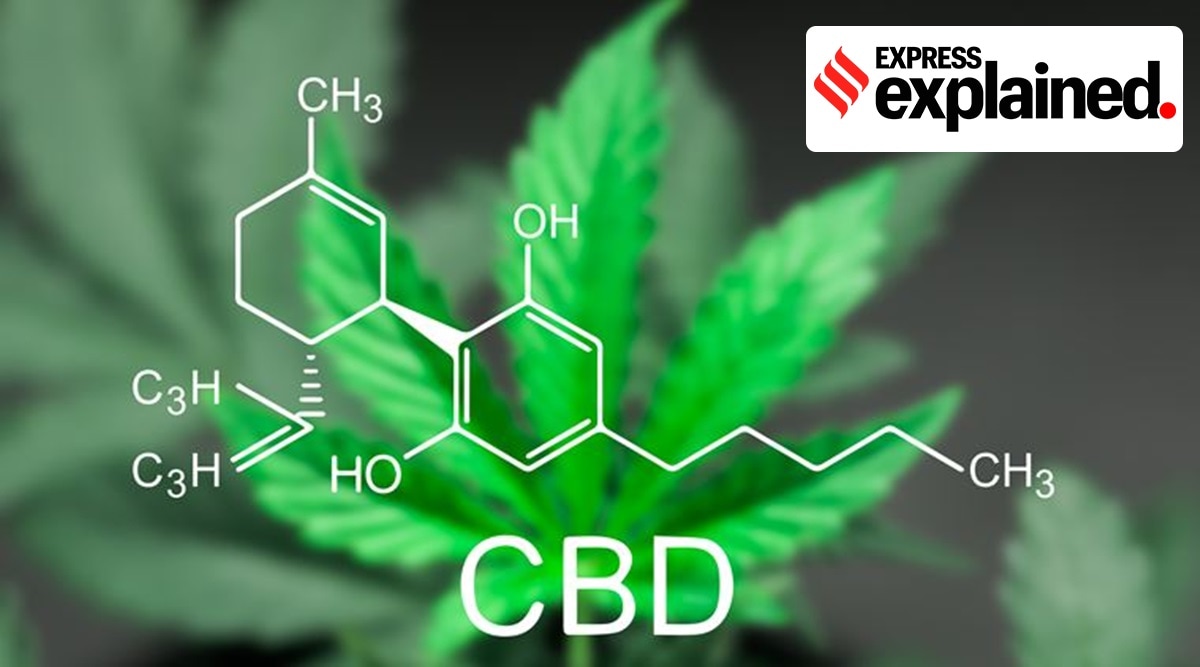 8 Signs Of A High-Quality CBD Oil - Cibdol