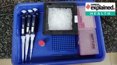 COVIRAP, What is COVIRAP, COVIRAP test, IIT Kharagpur Covid test, Covid test COVIRAP, COVIRAP explained, Indian Express