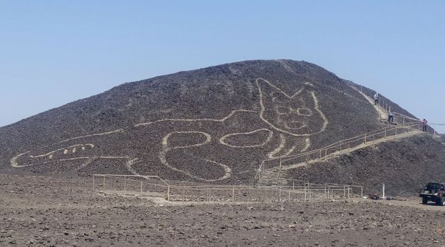 A photo provided by Peru's Ministry of Culture-Nasca-Palpa, shows the figure of a feline on a hillside in Nazca, Peru, Oct. 9, 2020. Archaeologists stumbled across the faded etching while remodeling a section of a UNESCO heritage site known as the Nazca Lines, Peru’s Ministry of Culture announced last week. (Jhony Islas/Peru's Ministry of Culture-Nasca-Palpa via The New York Times)
