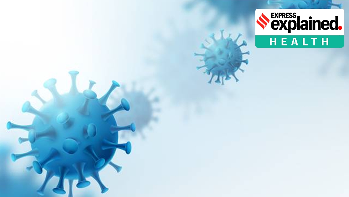 RNA viruses such as SARS-CoV-2 mutate slowly as they require a host (human cell) in order to replicate. (File Photo/Representational)