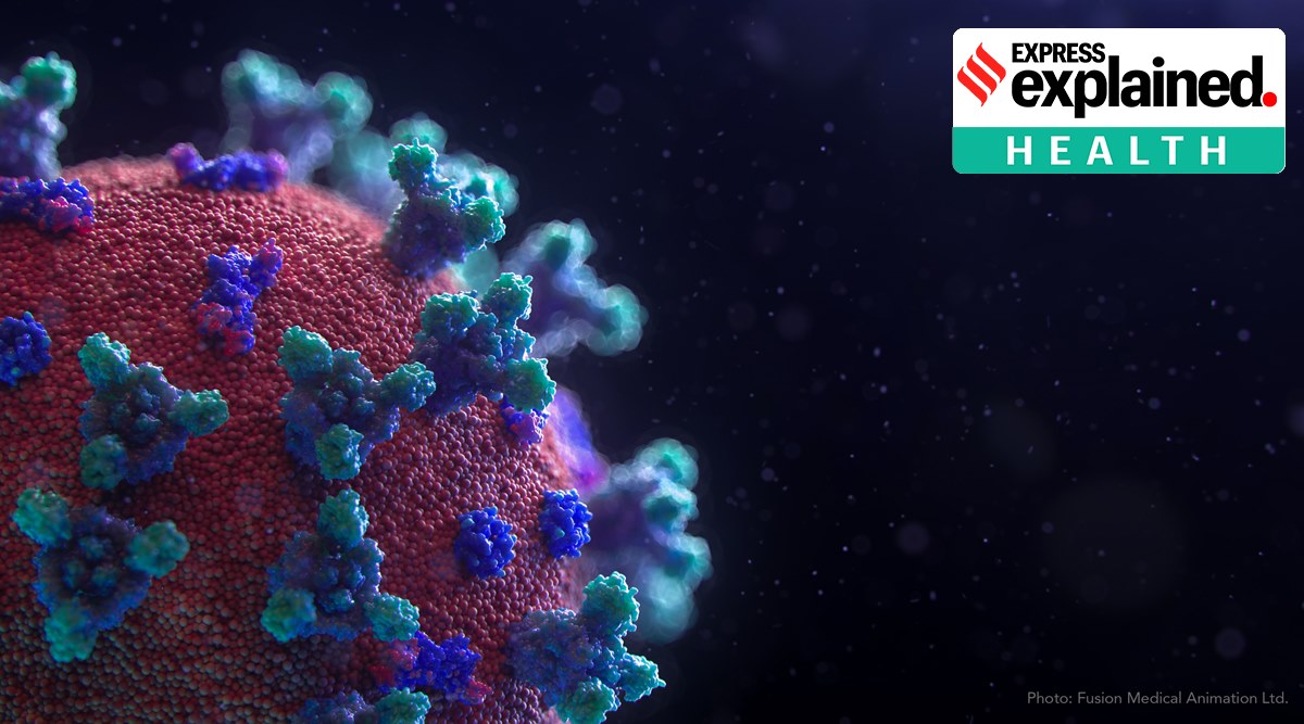 Coronavirus, Coronavirus inflammation, Coronavirus news, Coronavirus research, Indian Express