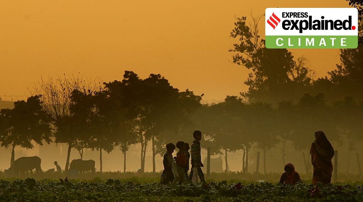 delhi, delhi weather, delhi news, delhi temperature, delhi pollution, delhi AQI, delhi winters, indian express