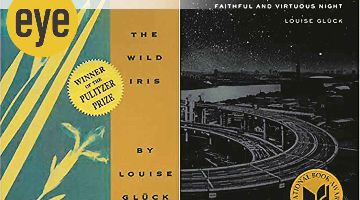  First Four Books Of Poems: 9780880014779: Gluck, Louise: Books