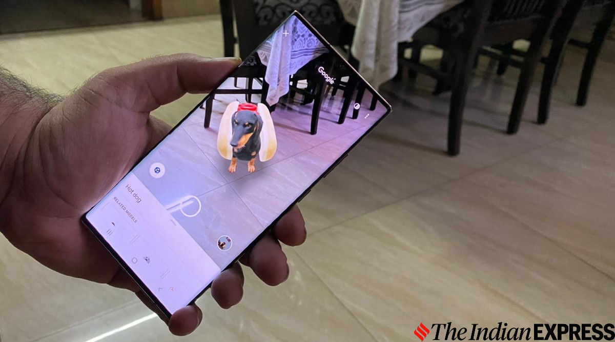 Google 3D Objects, Google 3D Animals, Google 3D, Google, Google 3D Skeleton, Google 3D Jack O Lantern, Google 3D Ghost, Google 3D Hot Dog, Google 3D Black Cat, Google 3D Wizard Cat, Google 3D Pirate Dog, Google 3D German Shephard