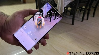 Google 3D Objects, Google 3D Animals, Google 3D, Google, Google 3D Skeleton, Google 3D Jack O Lantern, Google 3D Ghost, Google 3D Hot Dog, Google 3D Black Cat, Google 3D Wizard Cat, Google 3D Pirate Dog, Google 3D German Shephard