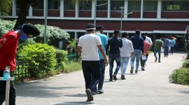 icai, icai admit card, icai.org, icai ca admit card, education news, icai ca november exams