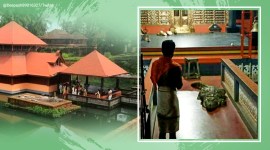 Kerala temple crocodile, Babiya crocodile Kerala temple, Kerala Kasargod temple, Sri Ananthapadmanabha Swamy Lake Temple, Ananthapura temple crocodile, Ananthapadmanabha Swamy Lake Temple crocodile, Kerala news, trending news, Indian Express news