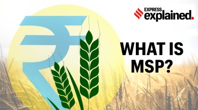 Minimum support price, MSP, MSP explained, What is MSP, Farm Bills MSP, Farm Bills 2020, MSP for farmers, Indian Express