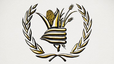 Nobel Peace Prize 2020, 2020 nobel peace prize, nobel peace prize award 2020, World Food Programme, World Food Programme Nobel prize, Nobel Prize 2020, Nobel Prize news, Nobel Prize 2020 news, World food programme UN, indian express news