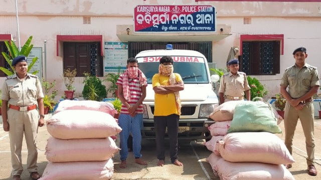 On Sunday night, a patrol team of Ganjam police intercepted an ambulance carrying 256 kg cannabis hidden inside PPE kits near Budhamba crossing in Kabisuryangar police station area.
