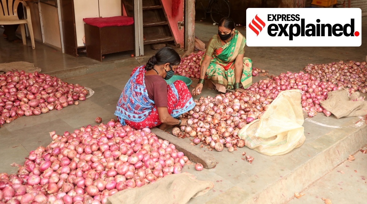 Onion prices, onions, onion prices india, onion prices explained, onion trade, vegetable prices, high vegetable prices, indian express