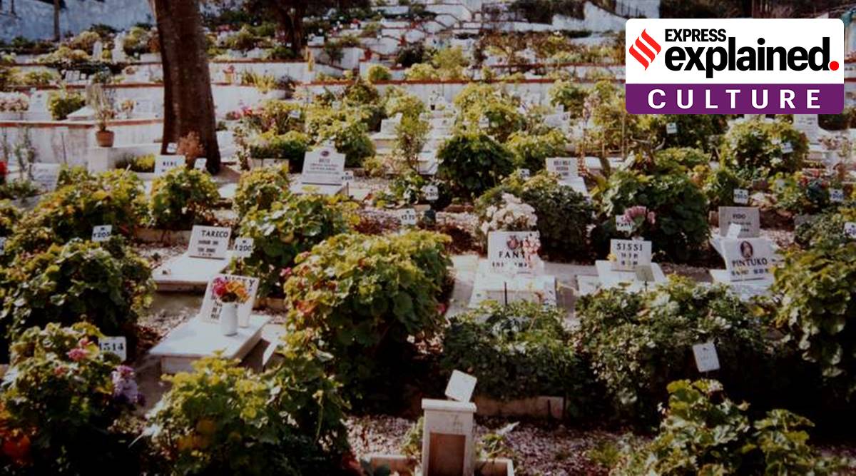 pet cemeteries, pet cemeteries India, how people mourn pets, mourning rituals pet, man animal relationship, express explained, indian express, Eric Tourigny