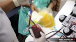 plasma therapy, plasma therapy for covid, ICMR on plasma therapy, what is plasma therapy, plasma therapy explained, Indian Express