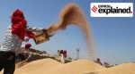 Punjab, Punjab farm laws, Punjab RDF, What is Rural Development Fund, Punjab agriculture produce, Farm Bills 2020, Indian Express