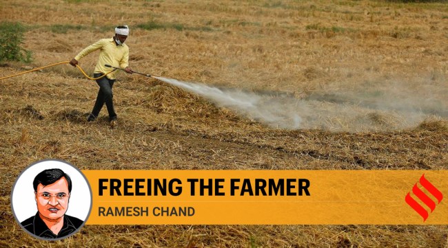 A farmer tends to his field on the outskirts of New Delhi. (Express Photo: Praveen Khanna)