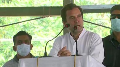 Rahul Gandhi, Rahul Gandhi tractor rally, Rahul Gandhi farmer's rally, farmers protest, farm bills, indian express