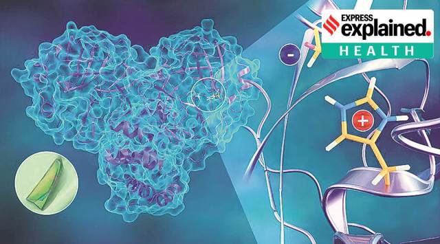 The first neutron structure of the SARS-CoV-2 main protease enzyme. (Jill Hemman/ORNL, US Dept of Energy)