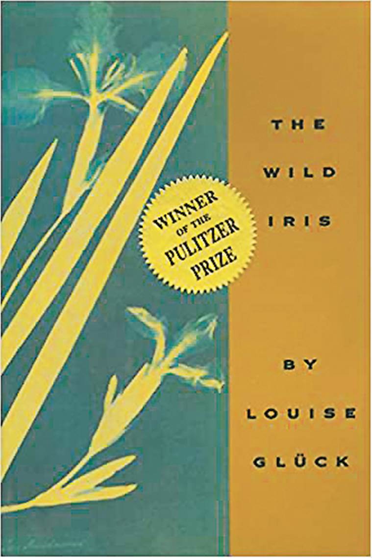 The essential Louise Glück reading list | Books and ...