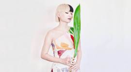 feng shui, what is feng shui, what is feng shui designing, feng shui designer Thierry Chow, Thierry Chow interview, indian express news