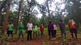 Bastar, Bastar tribals, Bastar tribals tree saving, Bastar trees, Baster afforestation, India news, Indian Express