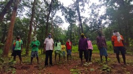 Bastar, Bastar tribals, Bastar tribals tree saving, Bastar trees, Baster afforestation, India news, Indian Express