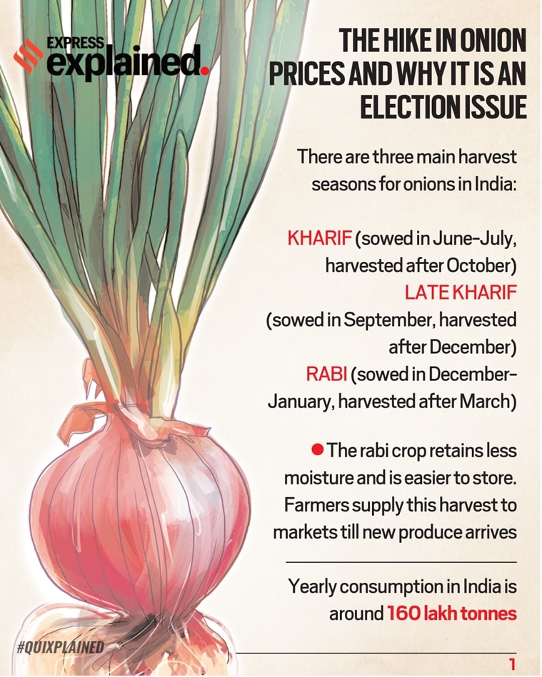 Quixplained Hike in onion prices, and why it is always an election