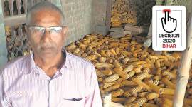 bihar elections 2020, bihar farmers, bihar agriculture, lockdown effect on bihar farmers, bihar crops, makka, bhusa, bihar elections, bihar assembly elections 2020, indian express