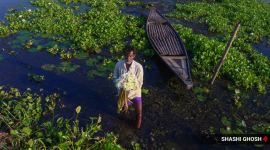 Bortir Bill, Bortir Bill location, Bortir Bill nilganj, Bortir Bill photos, Bortir Bill videos, how Bortir Bill became popular, offbeat destination near kolkata, daytrip location near kolkata, indian express