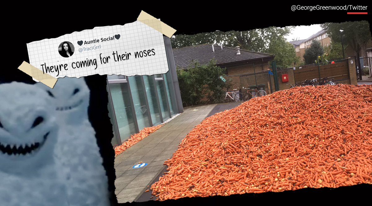 29 Tonnes Carrots london street, Goldsmiths university campus, artist, unwanted carrot, Rafael Perez Evans, trending, indian express, indian express news