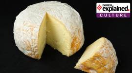 Cheese in india, origins of cheese in india, when did India first make cheese, food history, new research cheese, research on indian food habits, indian express, express explained