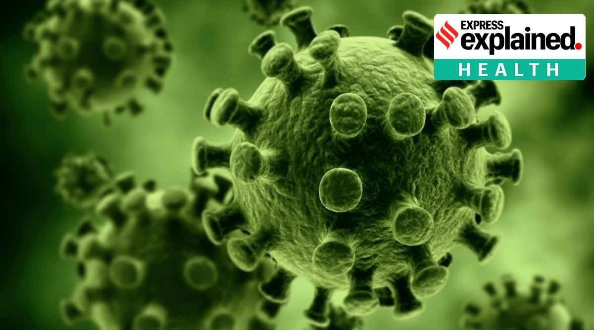 An illustration of othe novel coronavirus. (AP Photo)