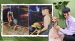 drunk thai man adopt dog he brought home, man adopts stray dog, stray dog become instagram celebrity, stray dog instagram model, good news, indian express,
