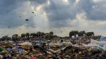 Tilaxan Tharmapalan, elephants eating garbage, Royal Society of Biology competition, elephants eating dump, Sri Lanka, viral image